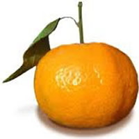 Mandarini Ciaculli